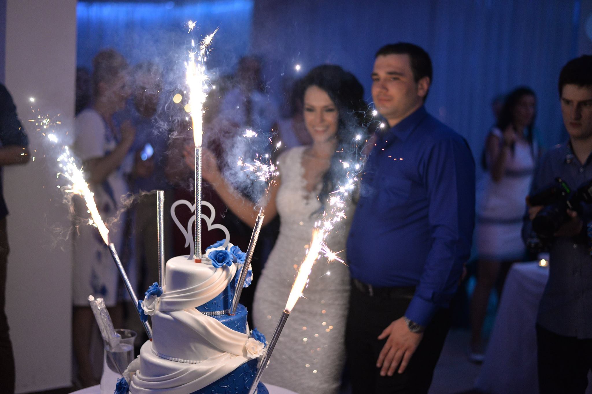 gardenvista48 gardenvista48